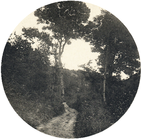 ca0153