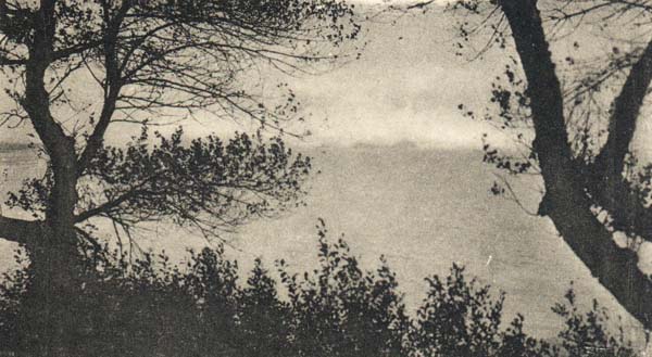 ca0197